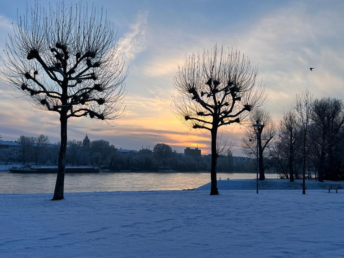 Living Lu - Cosy Two - Netflix - Mannheim - Basf *